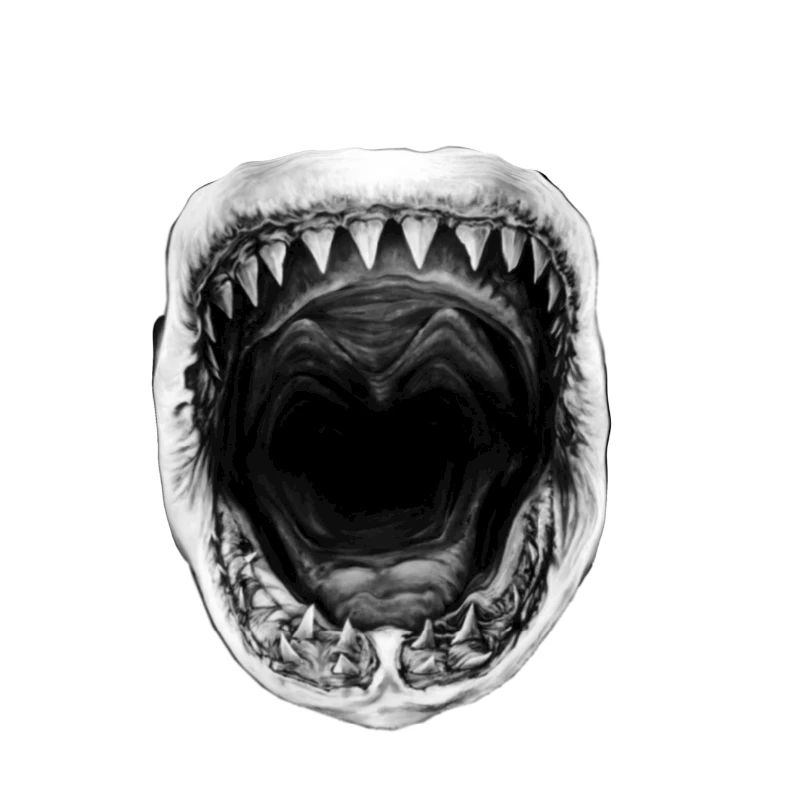 Requin