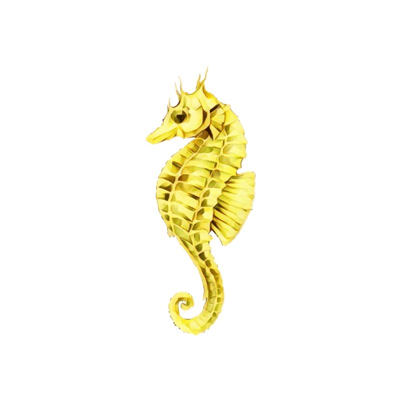 Hippocampe