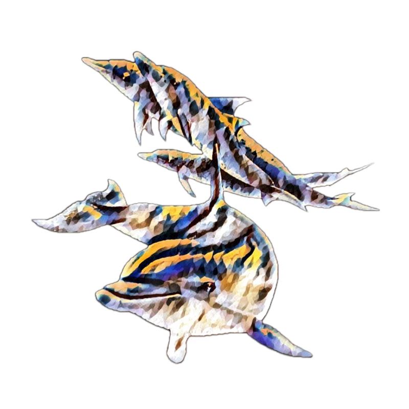 Les dauphins