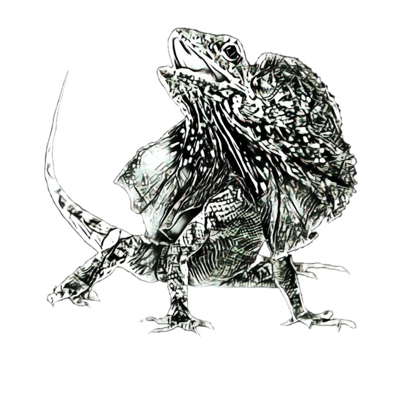 frilled lizard
