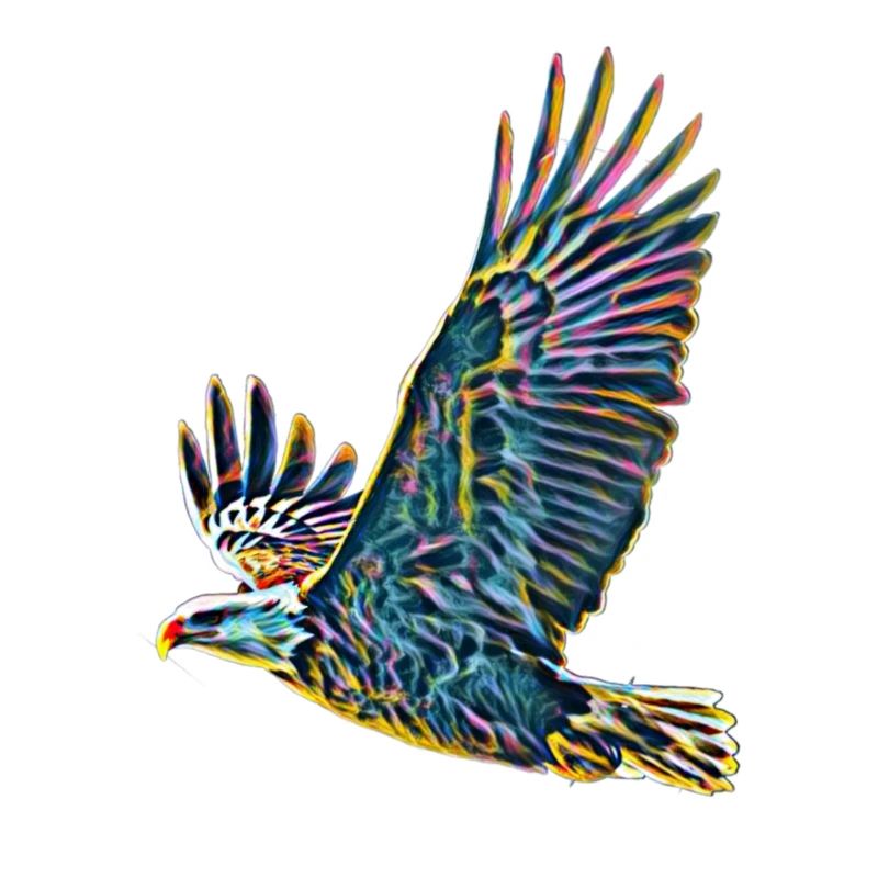 Aigle