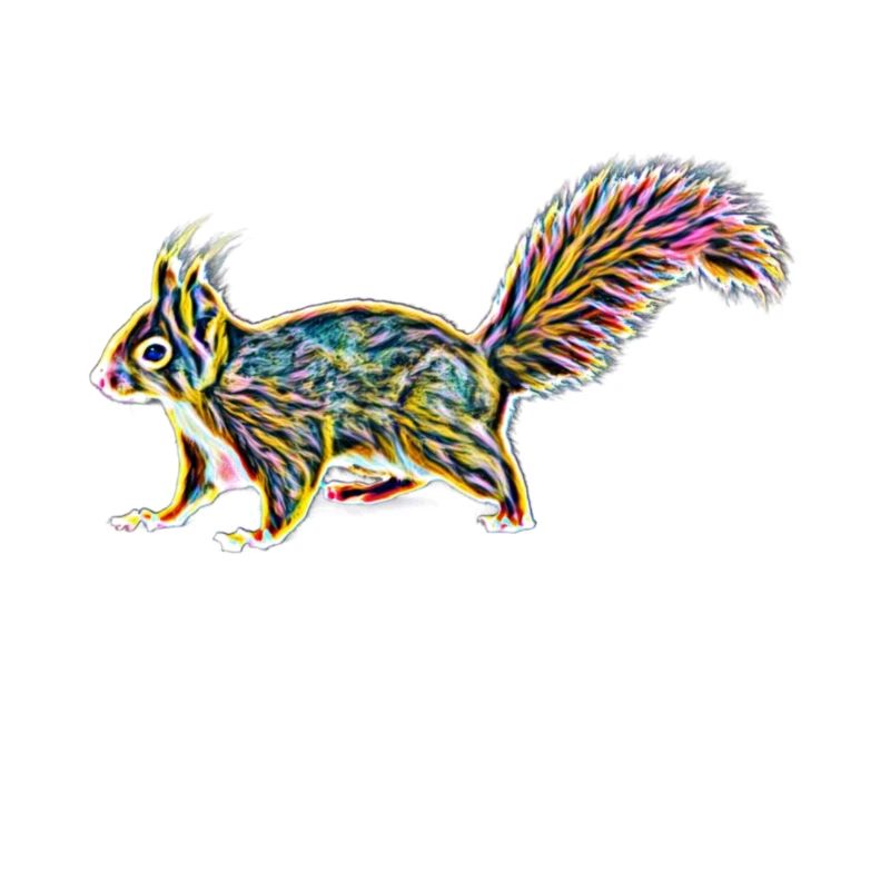 squirrel