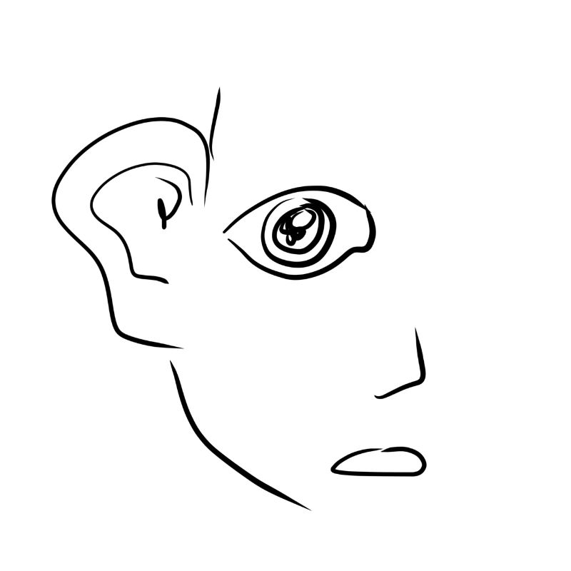 oreille auditive