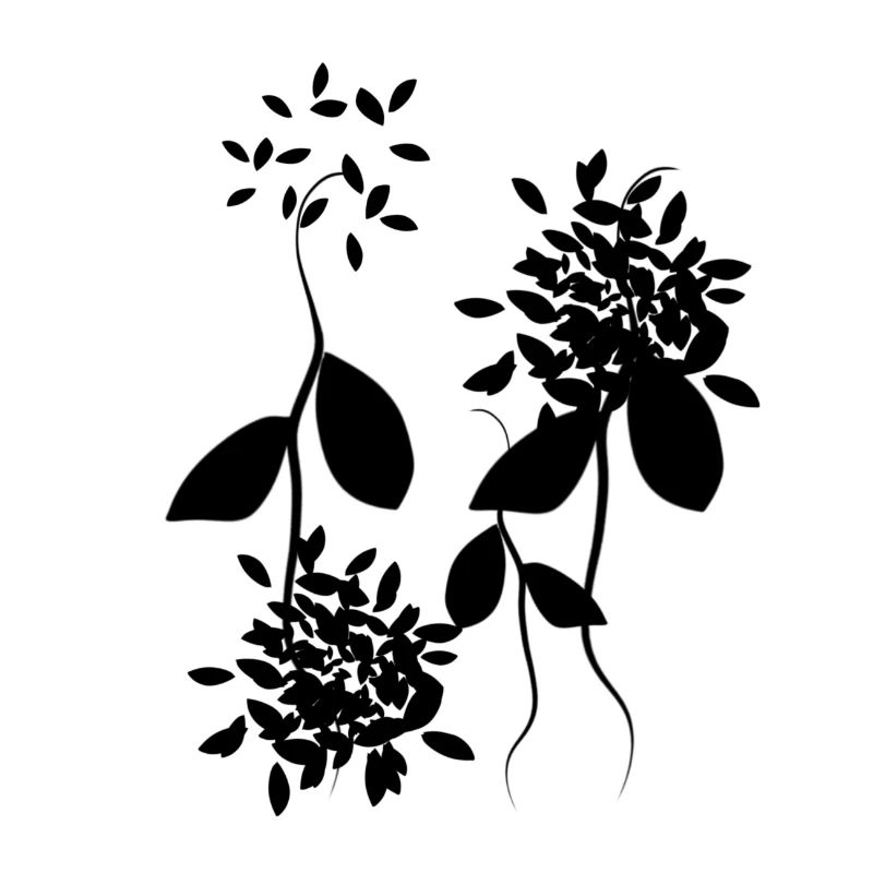 pattern plant flowers
