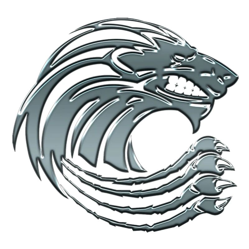 Lion game vector