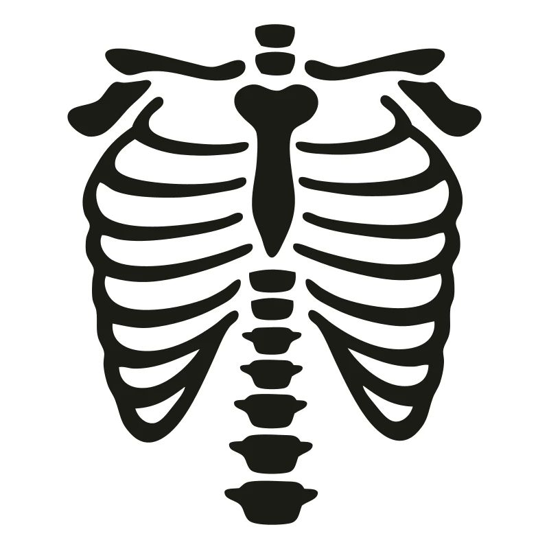 xray_vector