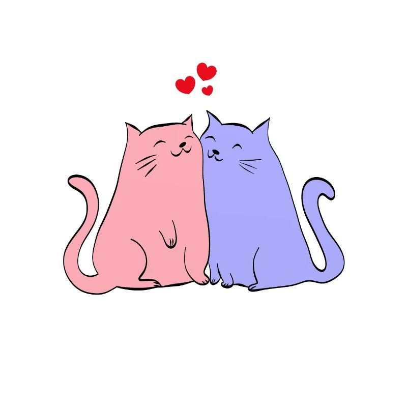 Katzen