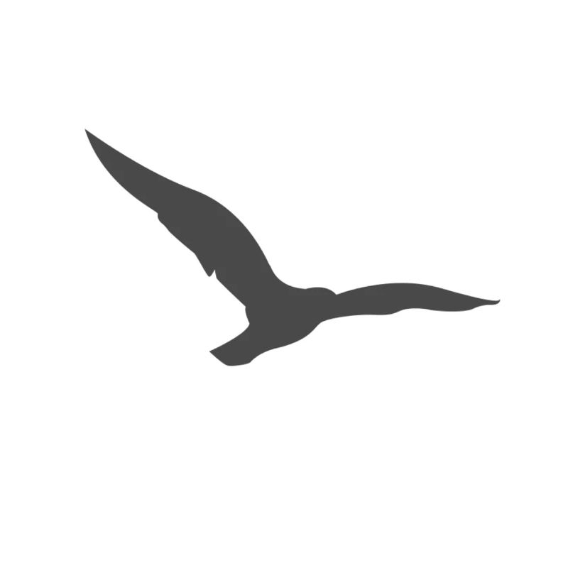 oiseau