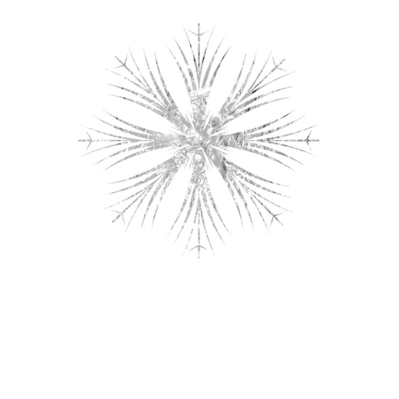 Silver Snowflake Design