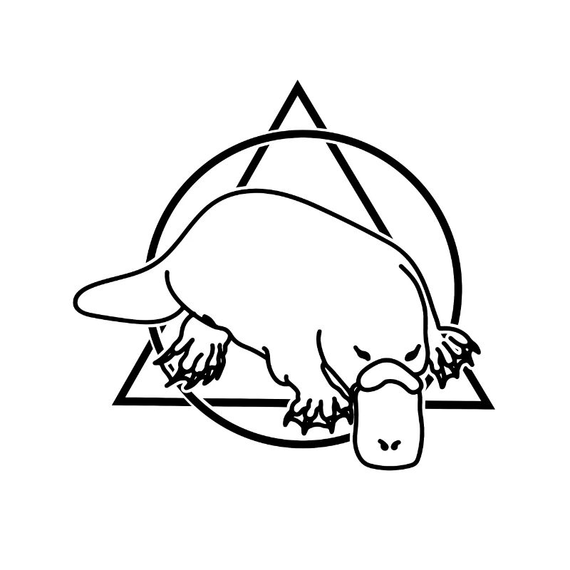 ornithorynque