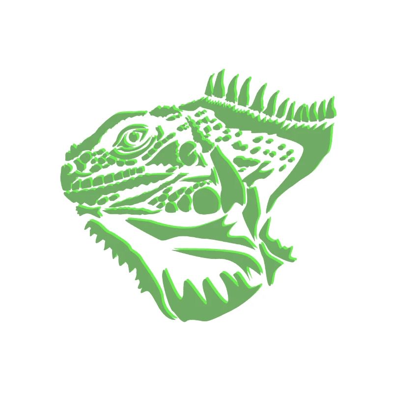 Leguan Eidechse