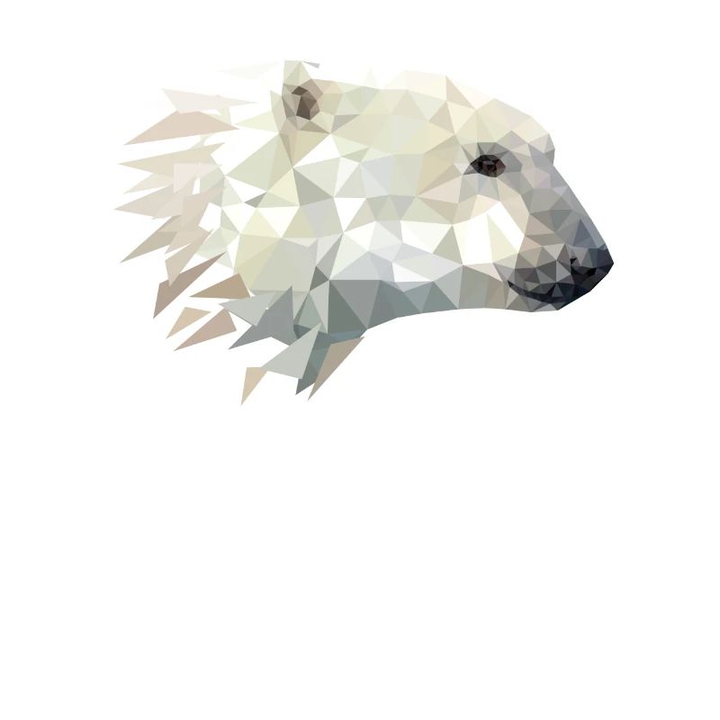 Conception de l'ours polaire