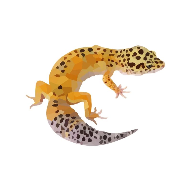 Cadeau de gecko