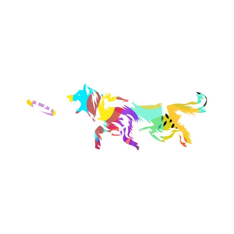 disc dog