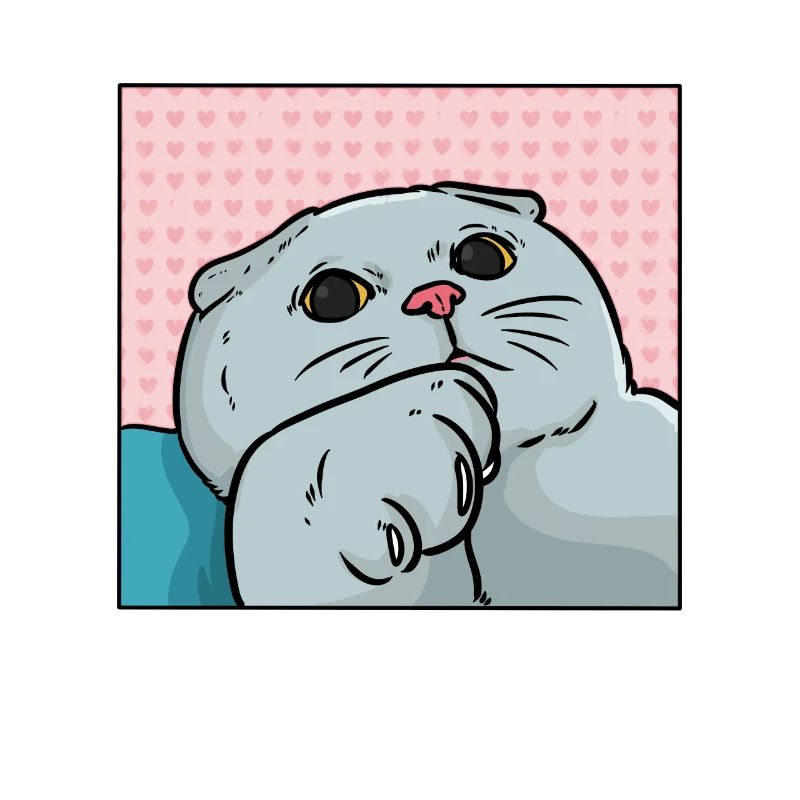 Chat foldex