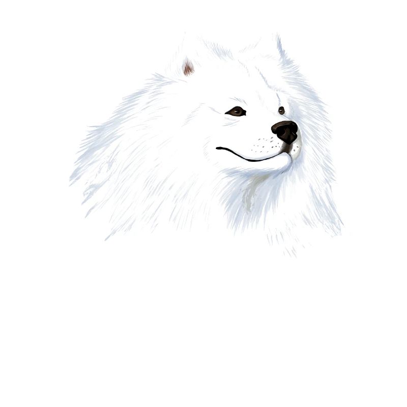 Samoyed Dog Head