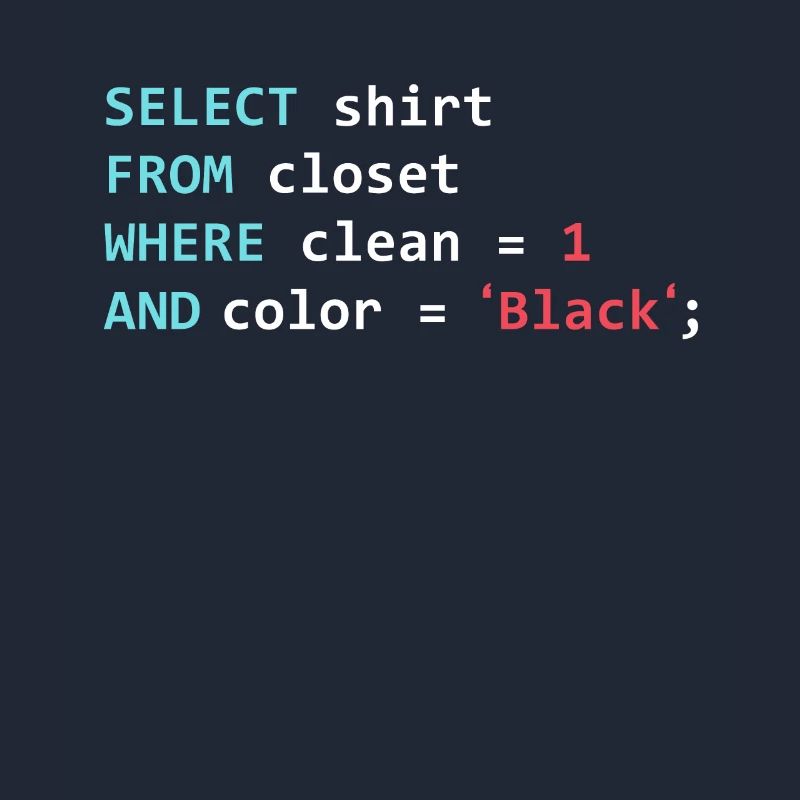 Programmer Database Funny SQL Query