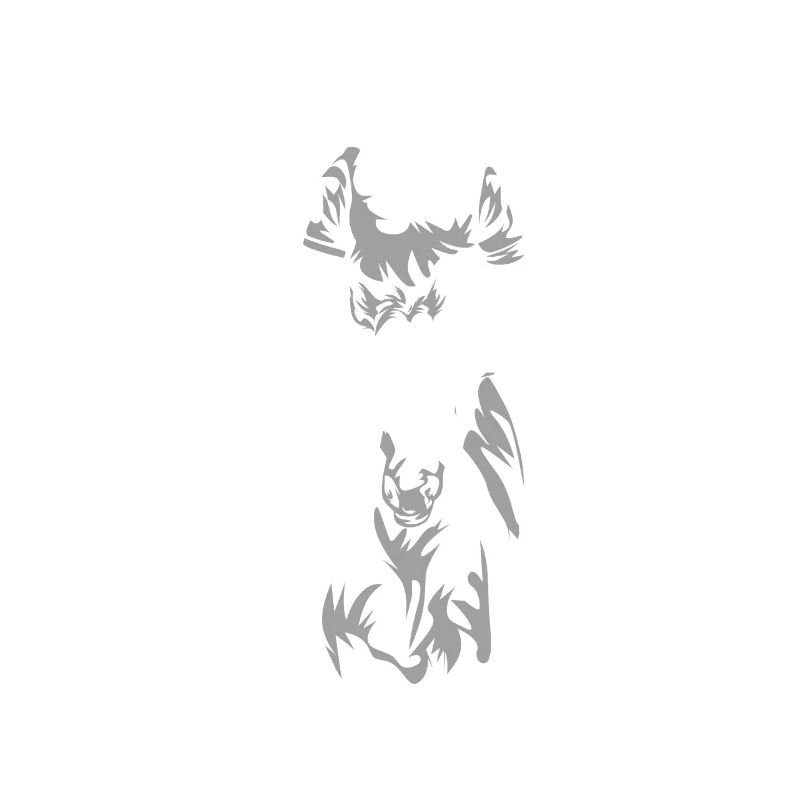 Endurance Cavalière