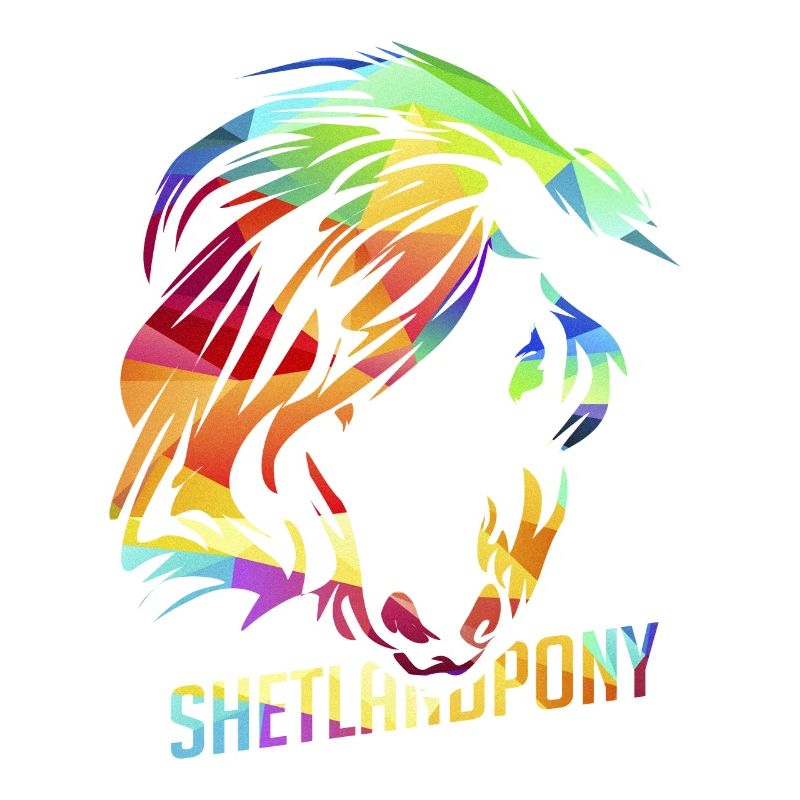 poney Shetland
