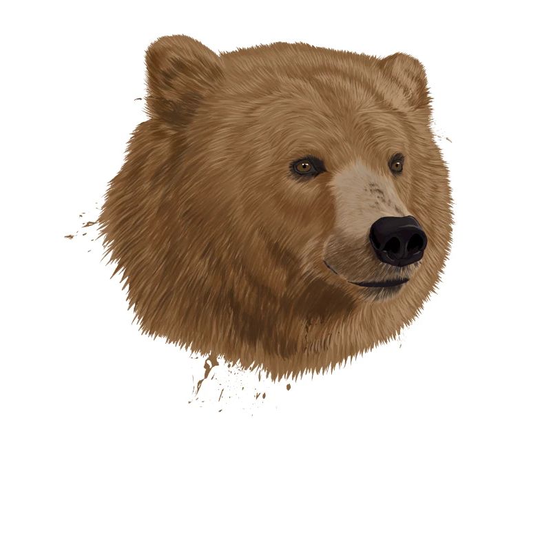 Ours