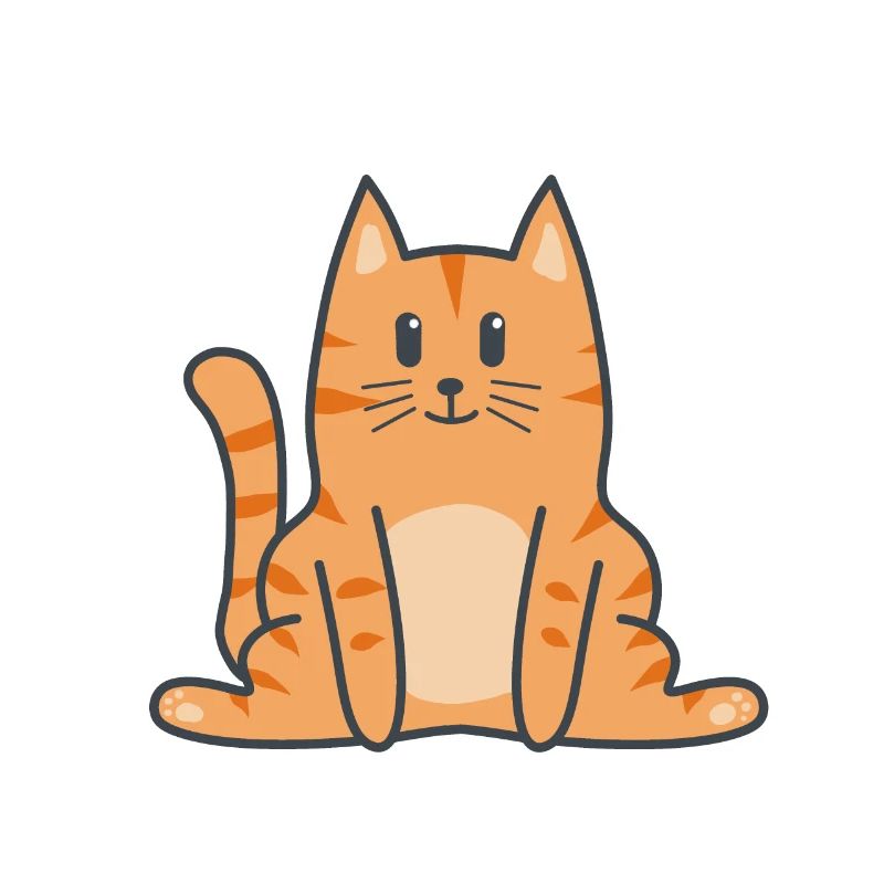 Chat Chat Kitten