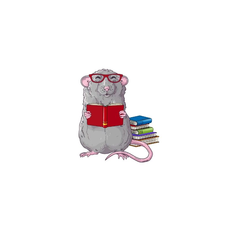 Rat de compagnie