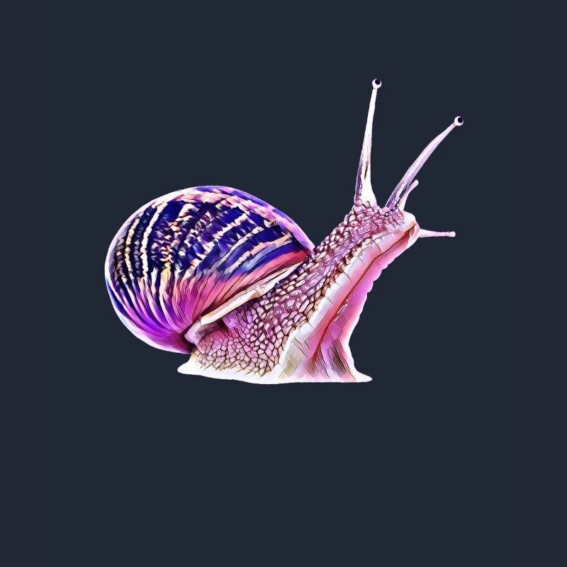 limace