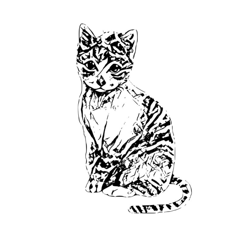 chat
