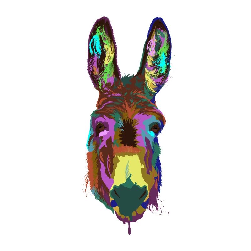Donkey Splash