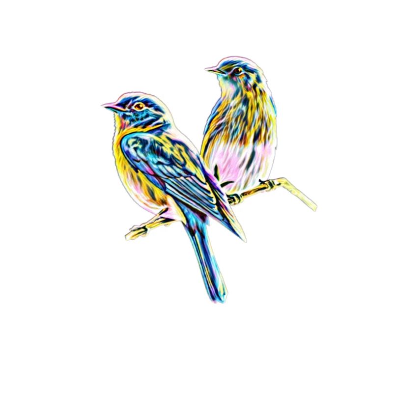 Oiseaux