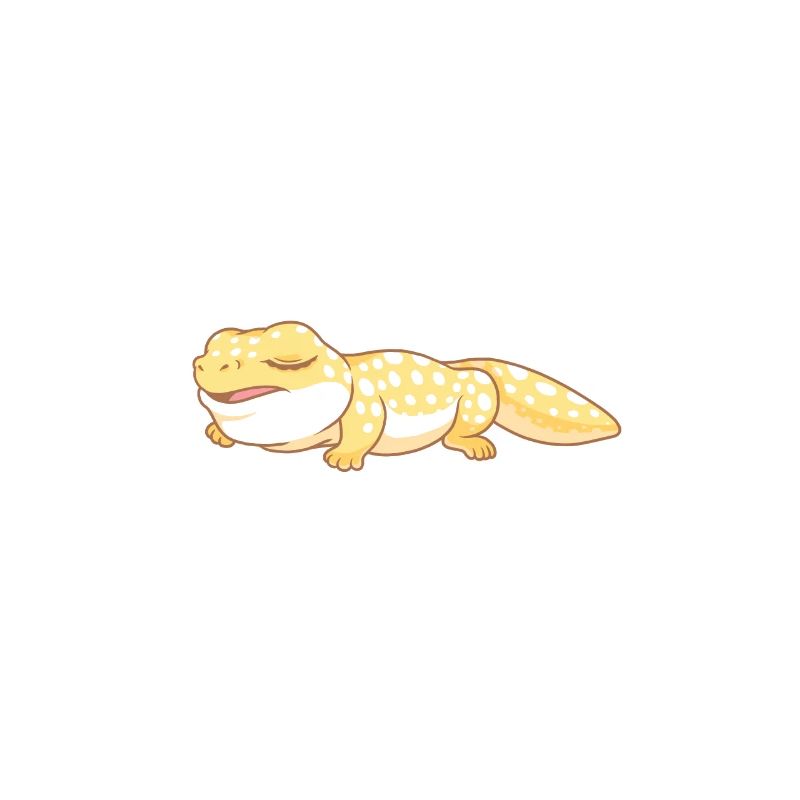 Gecko léopard Hauben-Eidechsen-Salamander