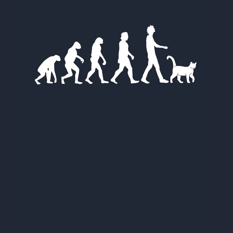 Evolution des chats