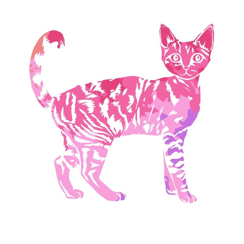 Devon Rex Katze Devon Rex Katze Bunt