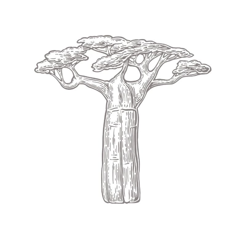 cadeau d'amant d'arbres baobab Afrique Graphique