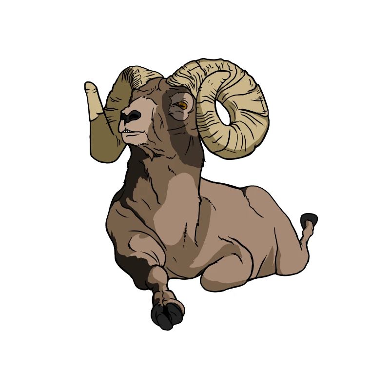 funny looking mouflon gift for mouflon fan
