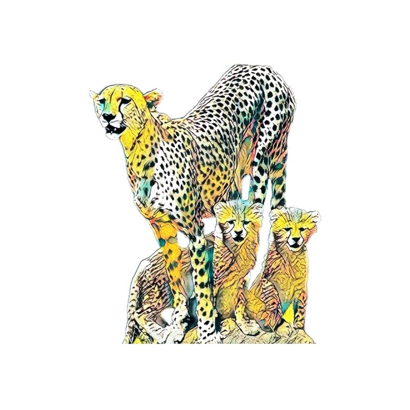 guépard