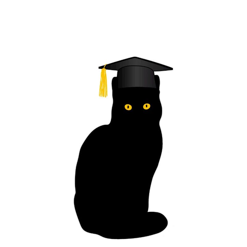 Master Studium Katze Lustiges Abschluss Geschenk