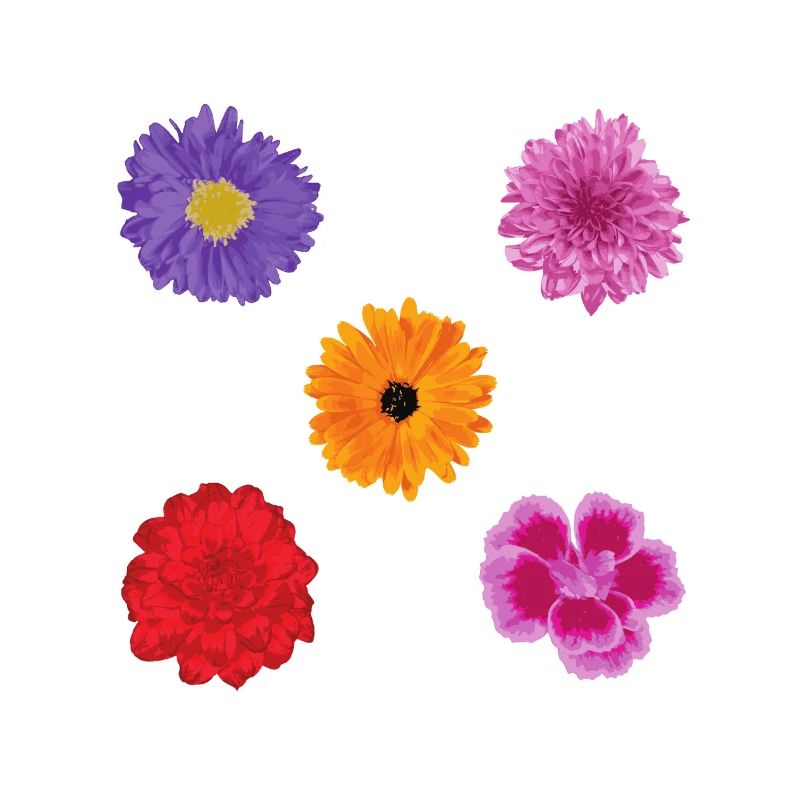 Ensemble de motifs de fleurs
