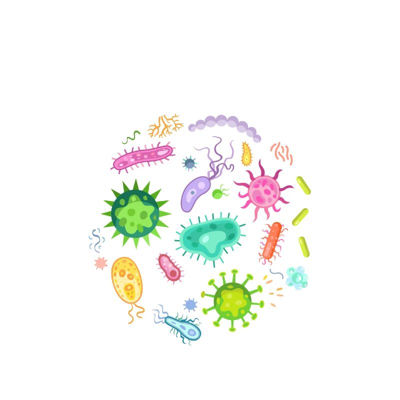 Microscope de bactéries microbiologie scientifique
