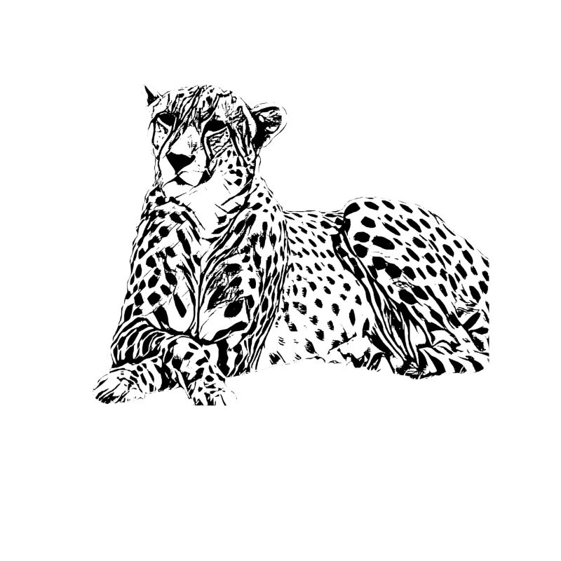 guépard