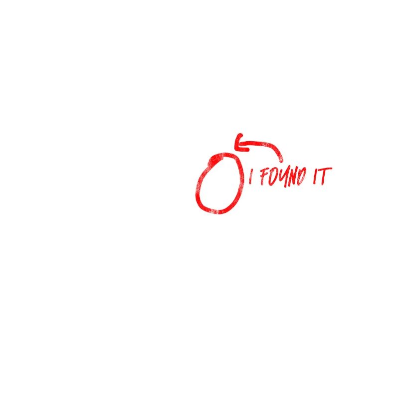 Find X, I Found It Mathematics Joke Math Joke