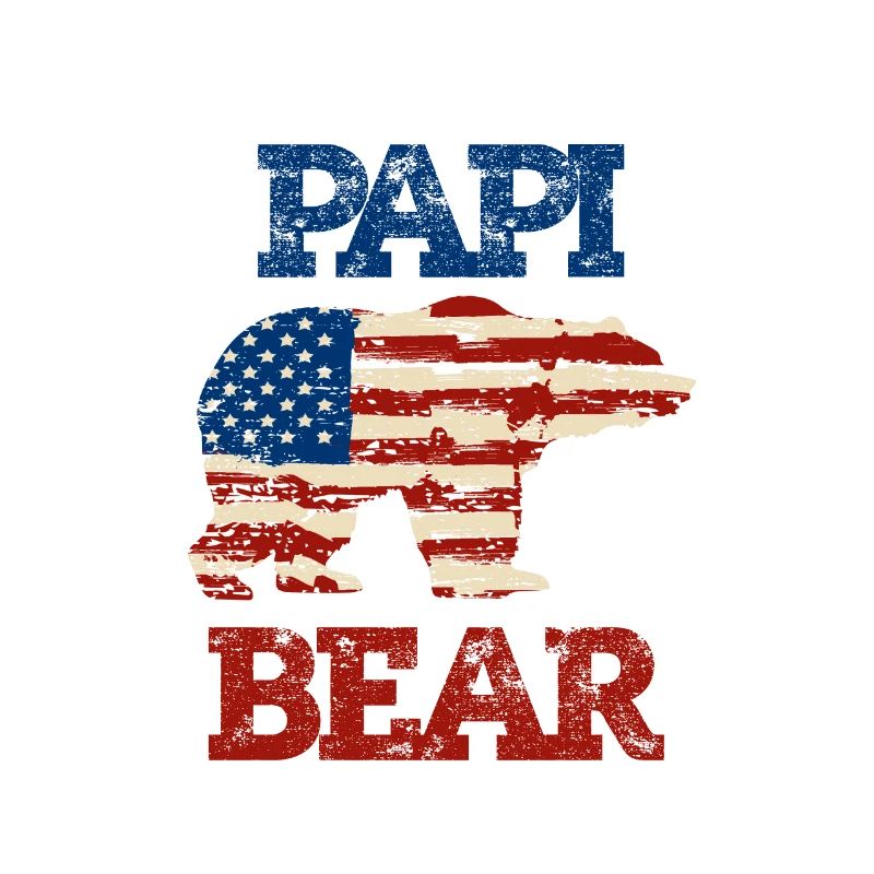 Rainbow PAPI Shirt, Retro PAPI, PAPI Sunset, PAPI