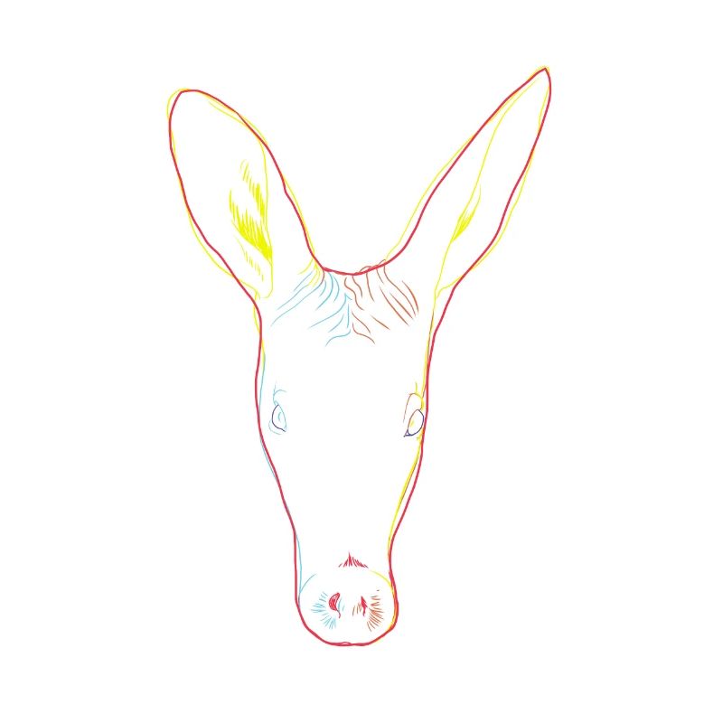 Bunter Erdferkel