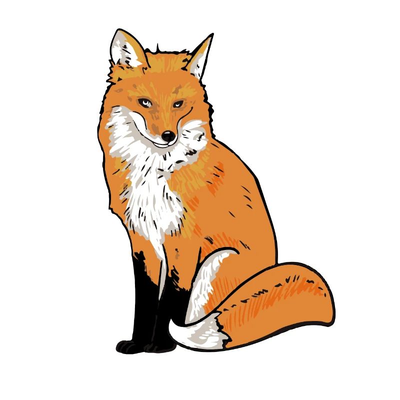 Fox Illustration