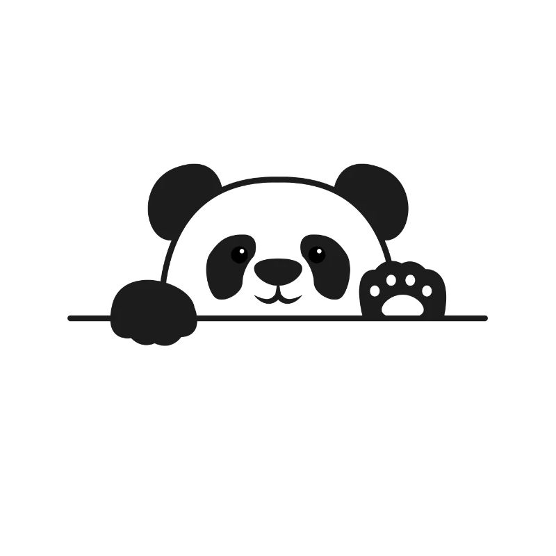 Programmeur Python Programmation panda nerd informatique