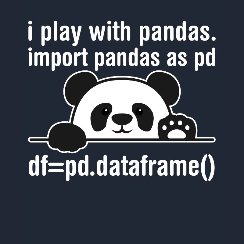 Programmeur Python Programmation panda nerd informatique