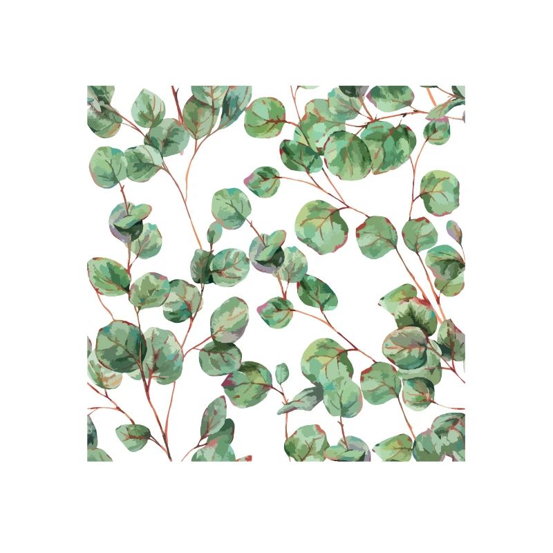 Feuilles d'eucalyptus vert