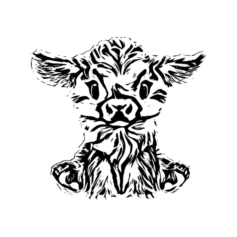 Vache