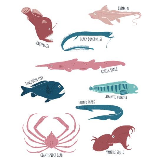 Deep sea creatures deep sea animals marine biology' Baby Cap | Spreadshirt