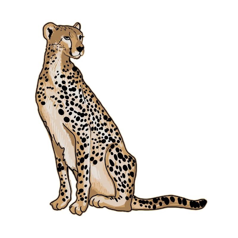 guépard